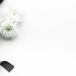 Zakłady pogrzebowe w Szczecinie